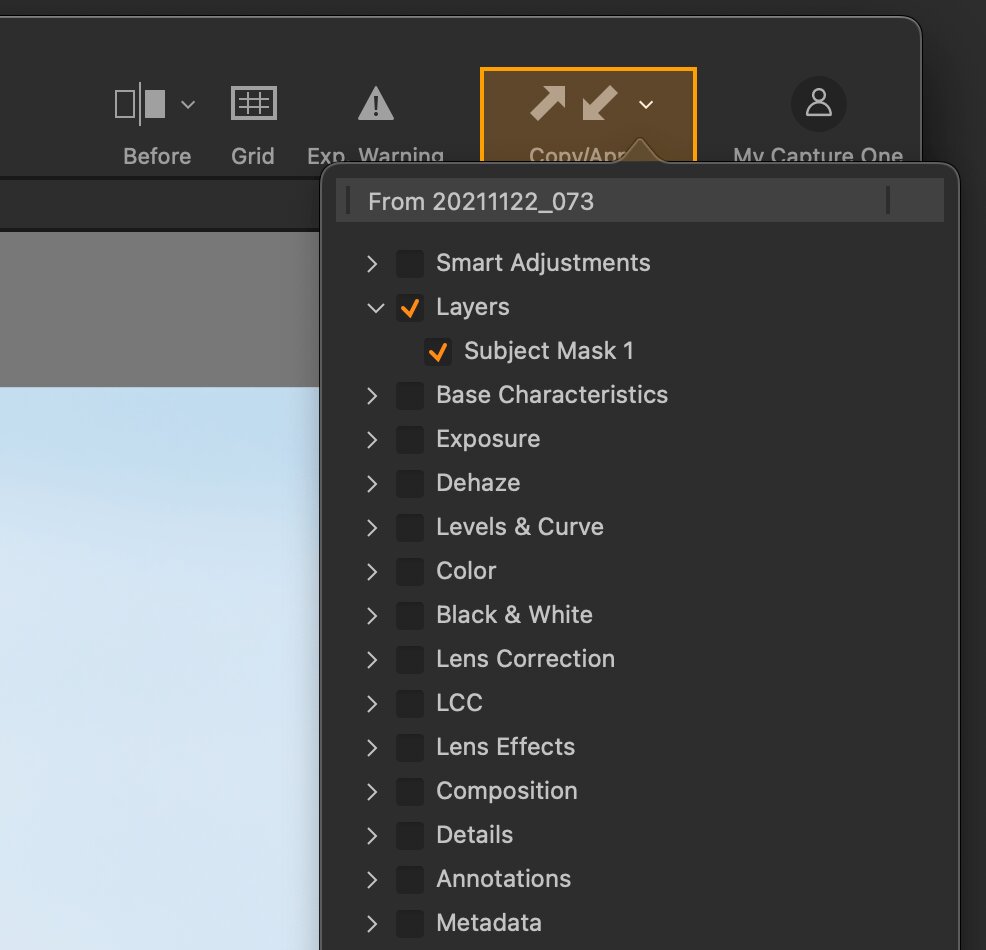 Adjustments Clipboard accessible from main toolbar